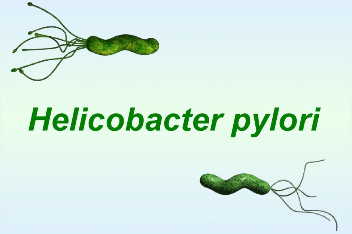 ? Сіз Helicobacter pylori туралы біліп, жапондық профессордың сараптамалық гастроскопиясынан өткіңіз келе ме? Онда бізге хабарласыңыз! ?